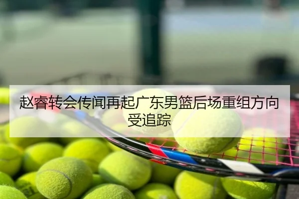 赵睿转会传闻再起广东男篮后场重组方向受追踪